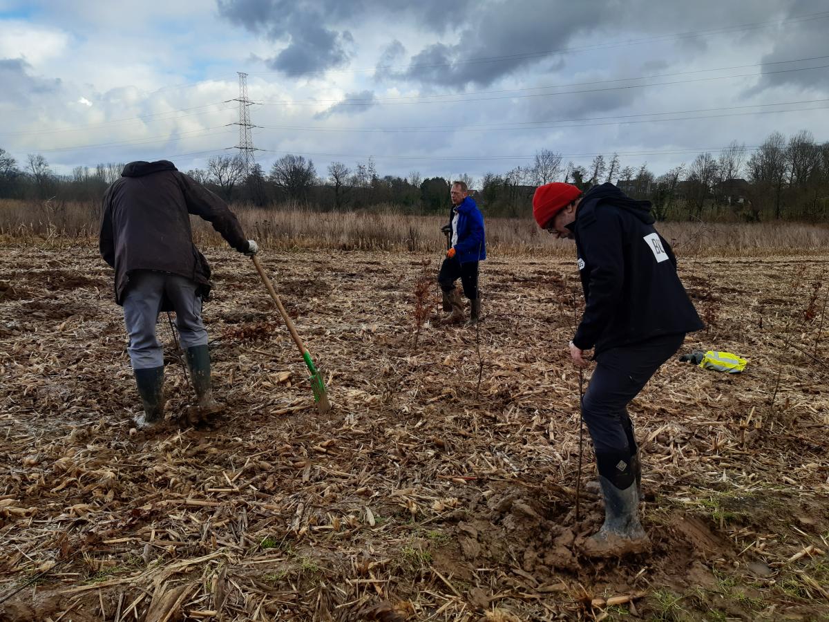 Initiatiefnemers planten de eerste bomen
