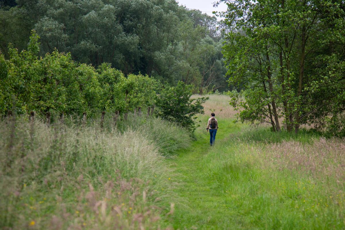 wandelaar in het groen