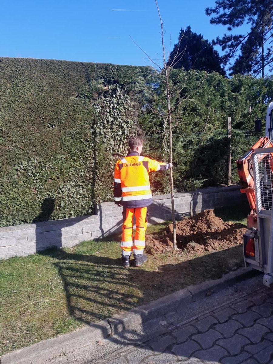 werkman plant boom