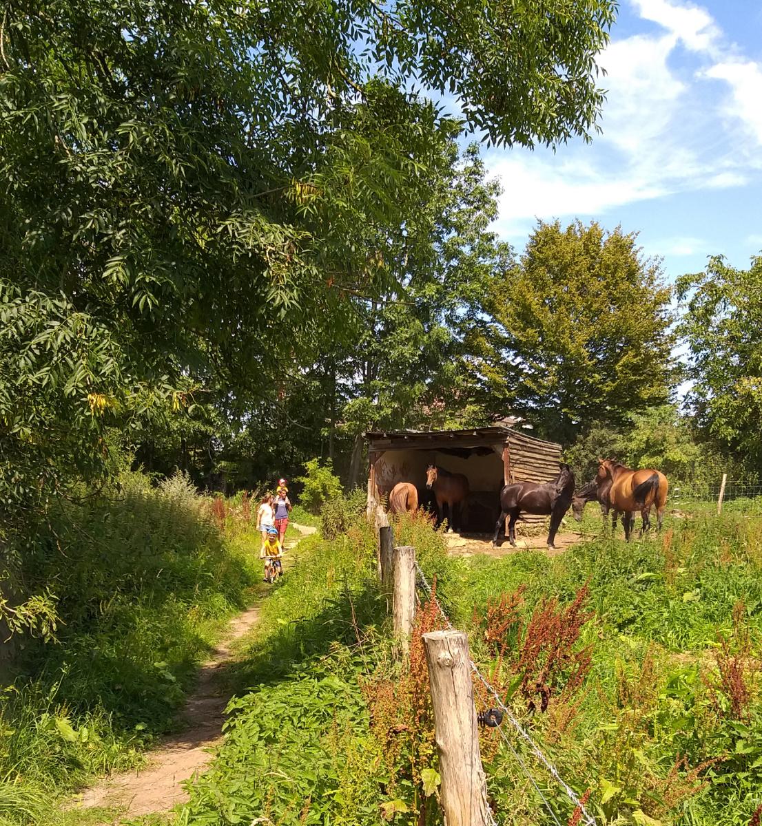 Wandeling Wolfsputten