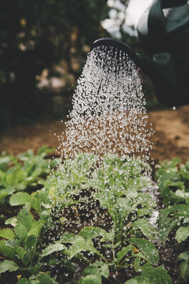 Uitzonderlijke aanhoudende droogte en watergebruik