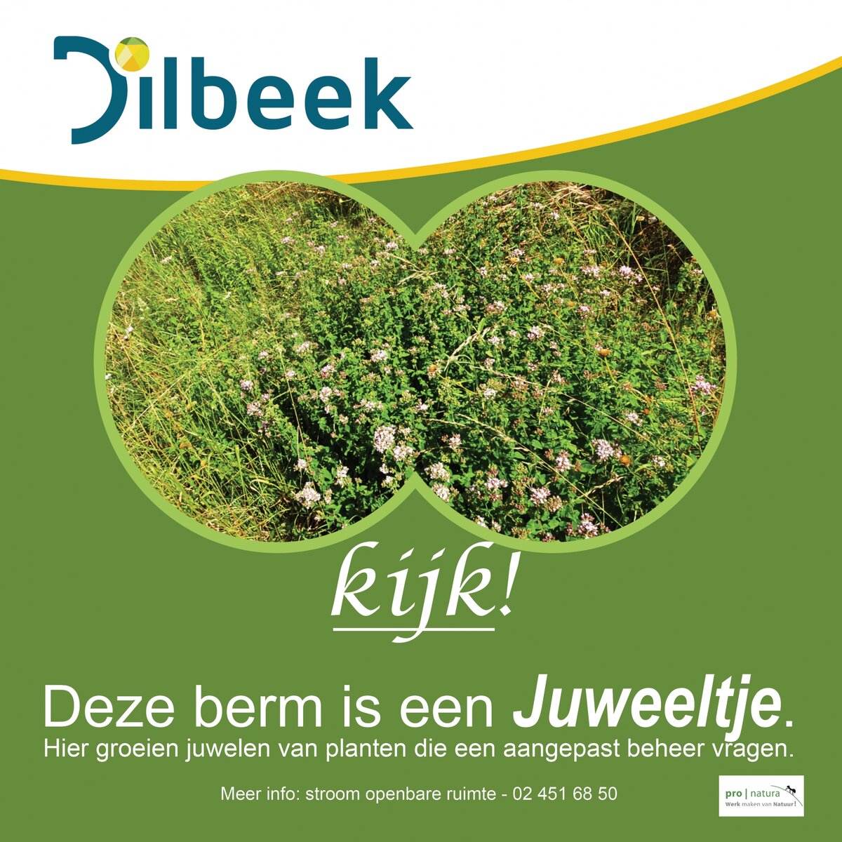 Bermbeheerplan brengt ecologie en veiligheid samen