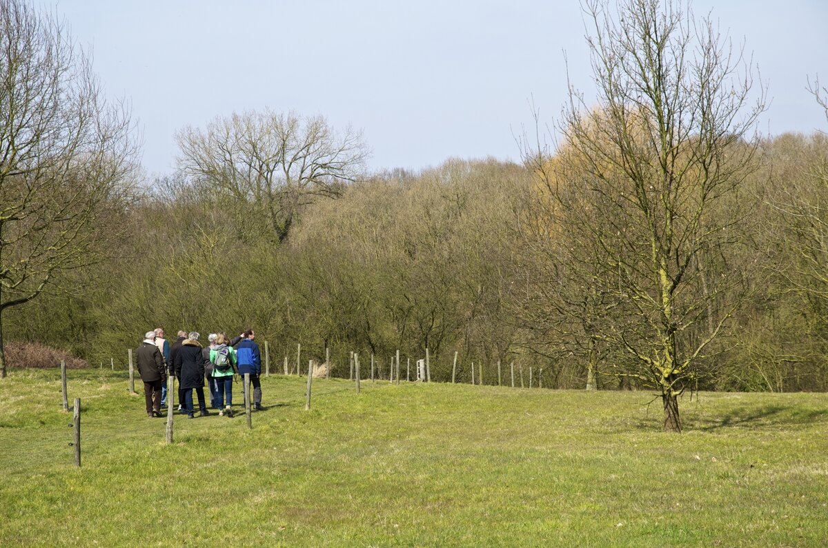 Beheerplan Wolfsputten in uitvoering