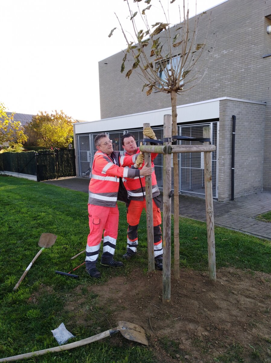 Meer groen in het straatbeeld