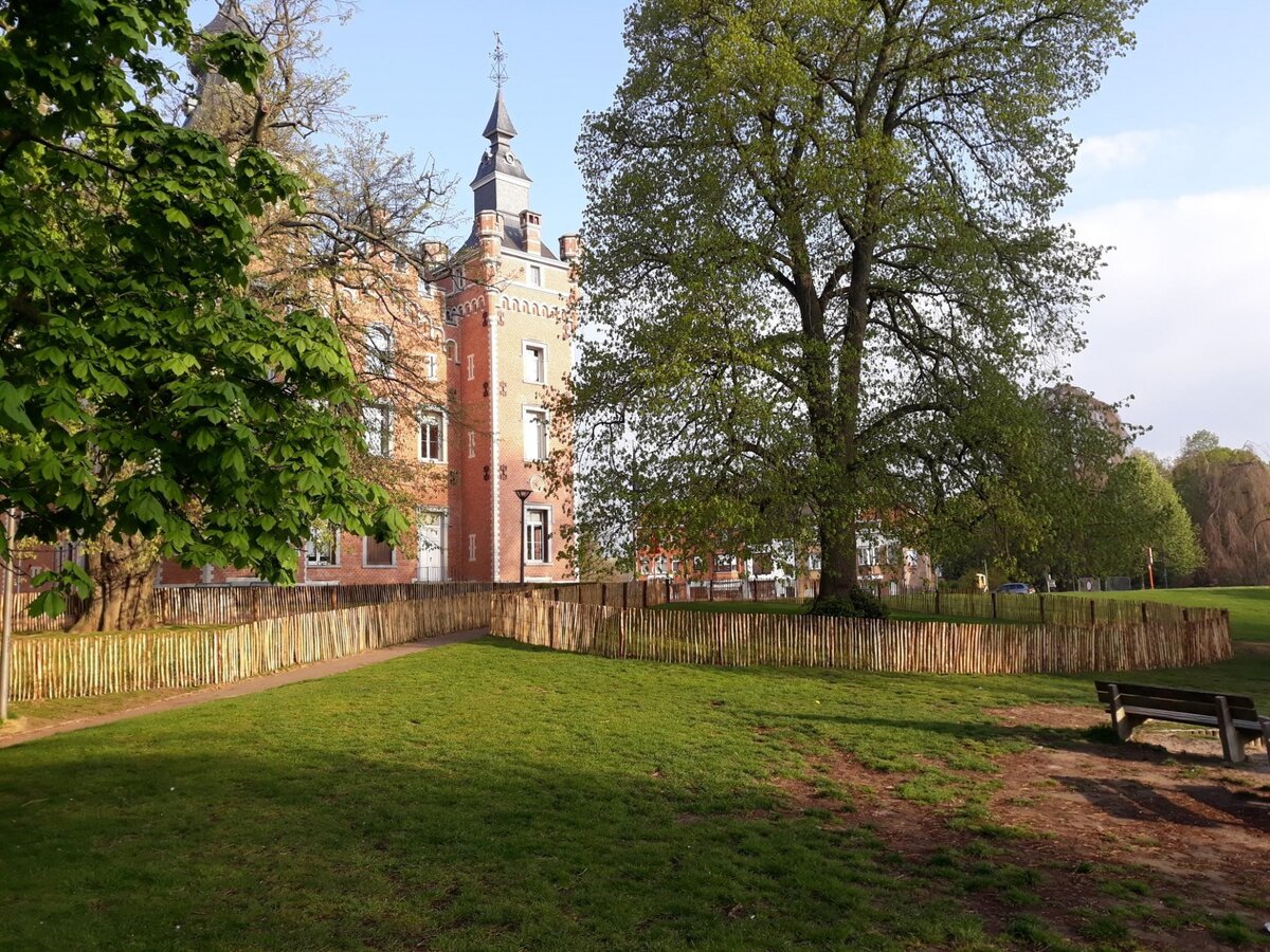 Parkbomen beter beschermd
