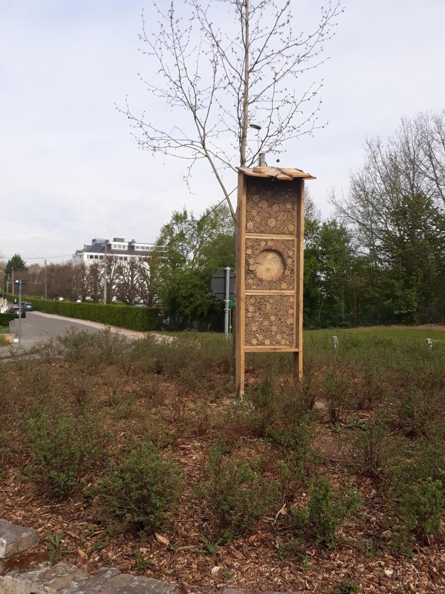 Nog een extra woonplaats voor de wilde bijen