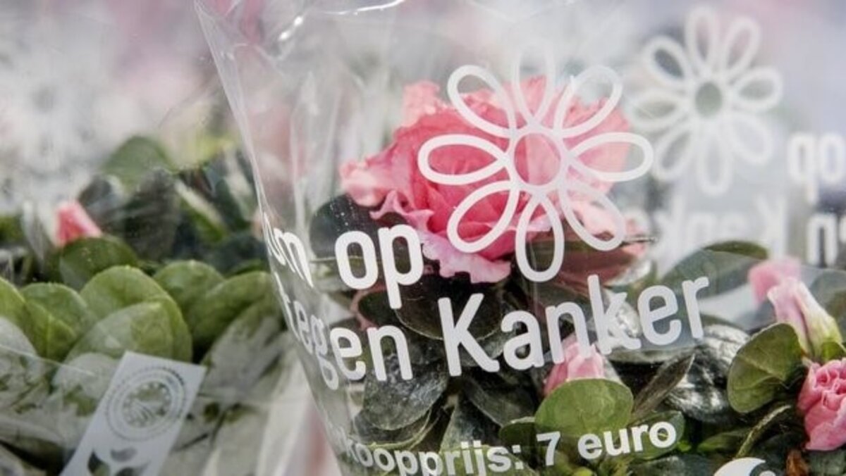 Plantjes kopen voor Kom op tegen Kanker kan veilig