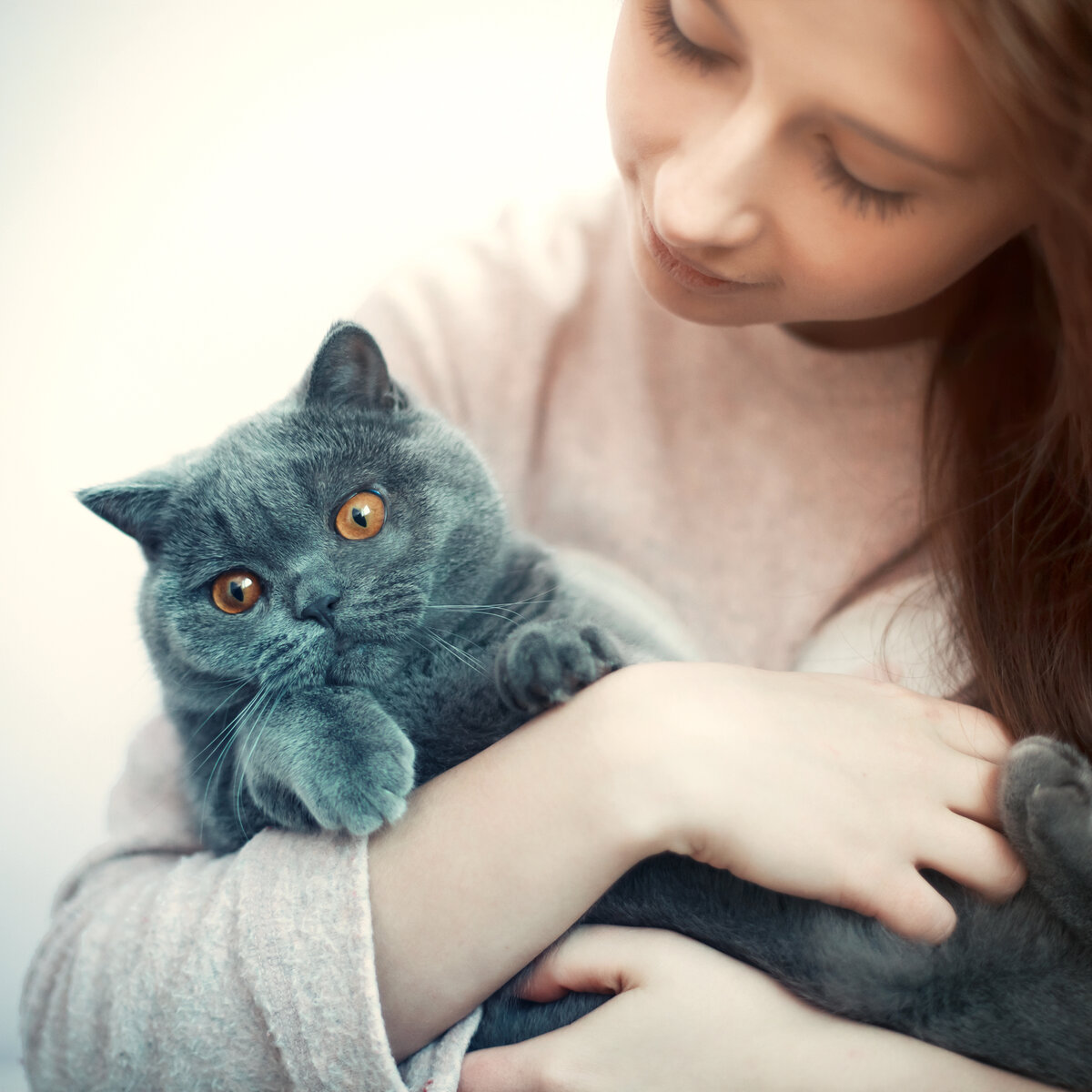 Verplichte identificatie en registratie katten