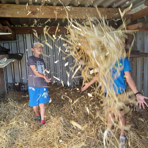 Kleinschalig buitenkamp op het ritme van de natuur en de kinderen. © Marieke Verraes