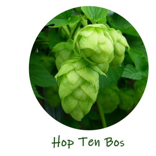 Hop ten Bos in Huisje Mostinckx © HTB