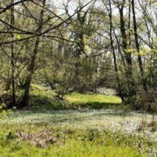Herfstwandeling in de Wolfsputten © gemeente dilbeek