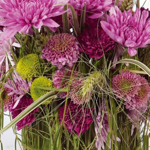 Verrassend hip met chrysanten © Justchrys