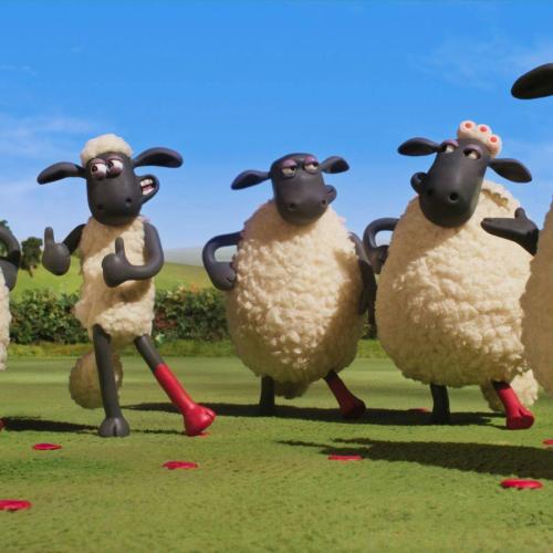 Shaun het schaap: elke dag feest! (3+) - Seamus Malone © J.E.F.
