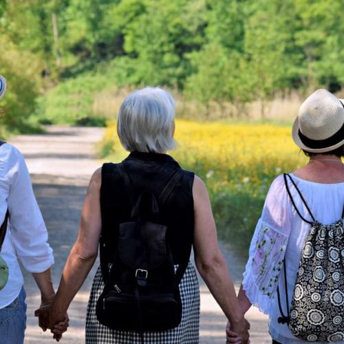 De kracht van familiebanden. Altijd een zegen ? © Pixabay
