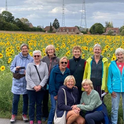 Sportieve wandeling © © Ferm Itterbeek