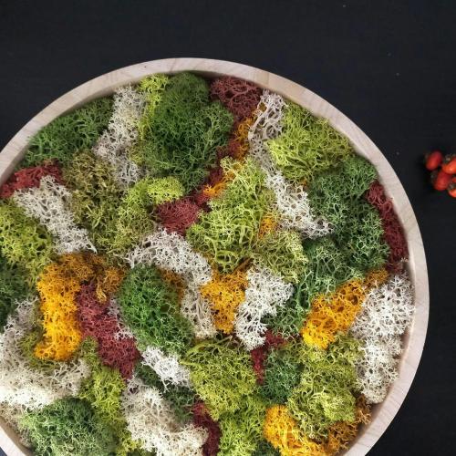 Mosschilderij maken © Ateliet Leut