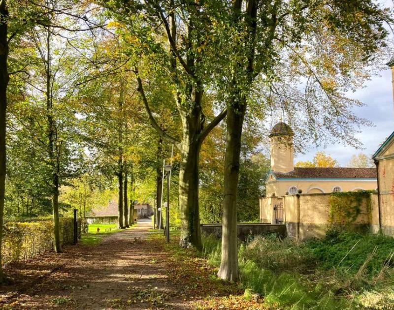 Foto van Kasteel Lamotte