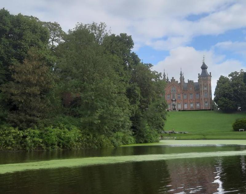 Vijver Dilbeek