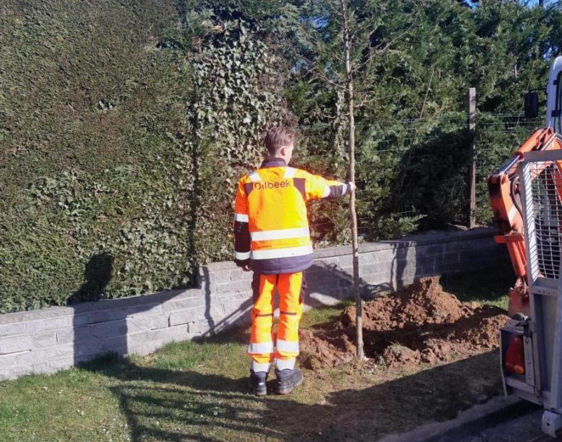 werkman plant boom