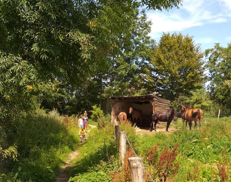 Wandeling Wolfsputten