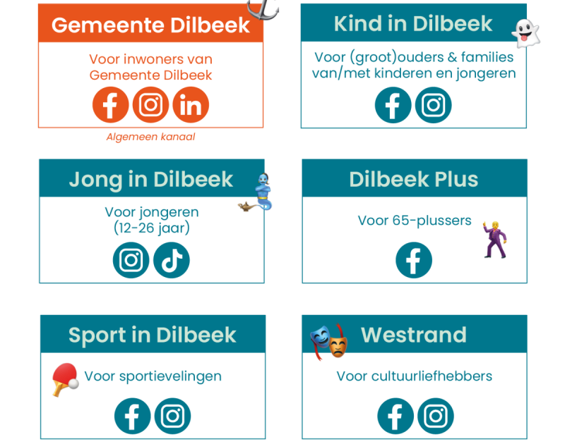 overzicht socialemediakanalen