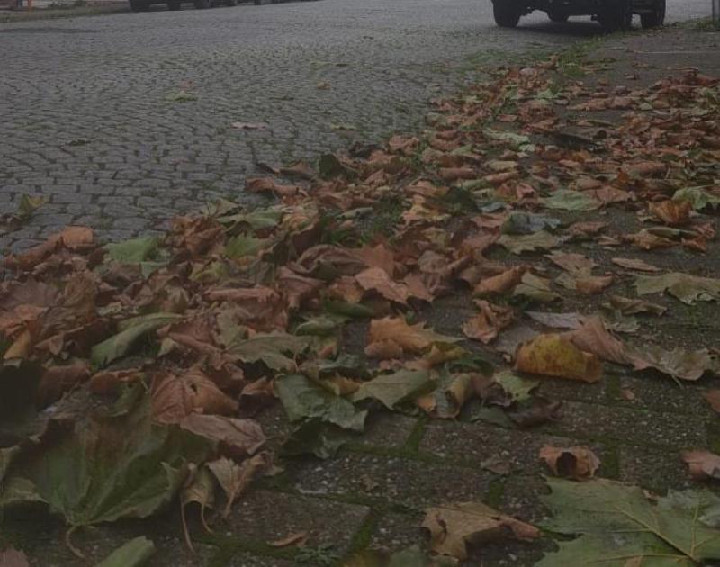 bladeren op de stoep met kerk op de achtergrond