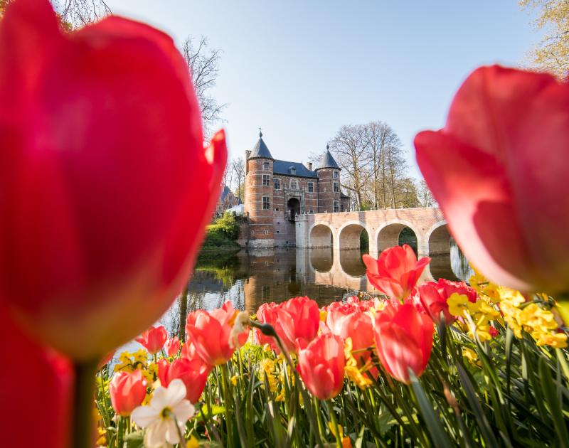 Floralia Brussels 2025 © Alohafred