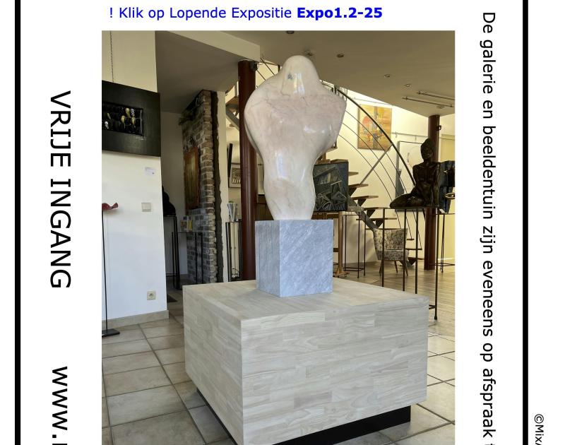 Expo 1.2.-25 © Galerie MixArt (Hugo Tanghe)
