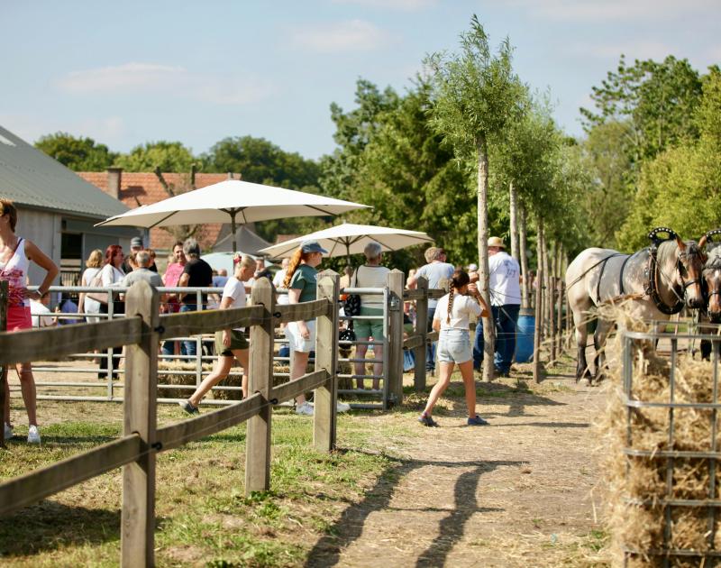 Open stoeterijdag © Ingrid Van Valvekens