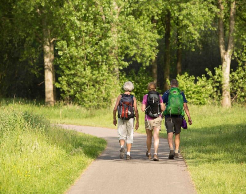 Wandelen langs groene wegen in Bodegem © okra