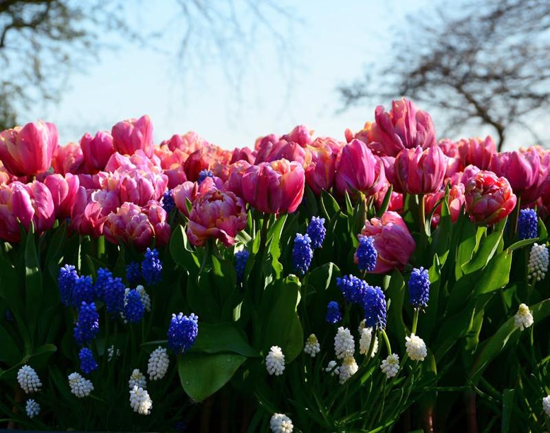 workshop bloemschikken © 49pauly