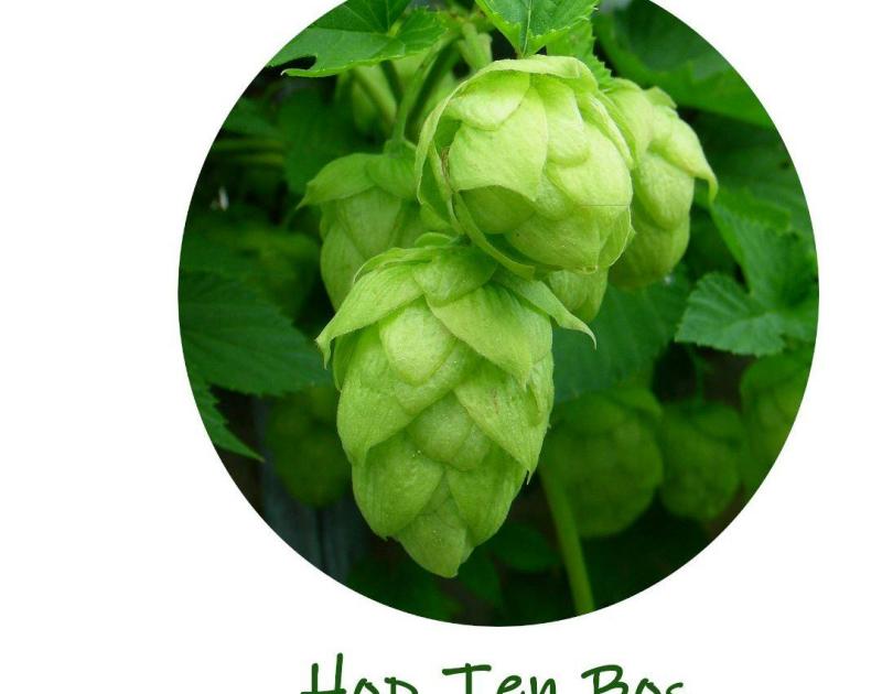 Hop ten Bos in Huisje Mostinckx © HTB