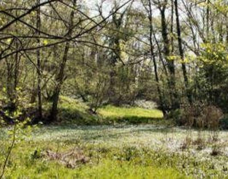 Herfstwandeling in de Wolfsputten © gemeente dilbeek