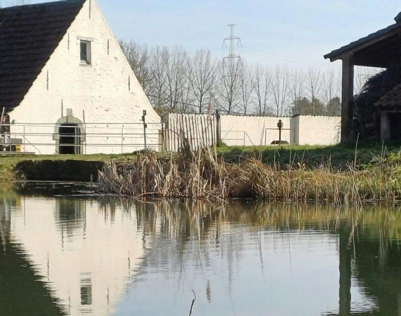 Tussen bier en water - Uit Stappen © onbekend