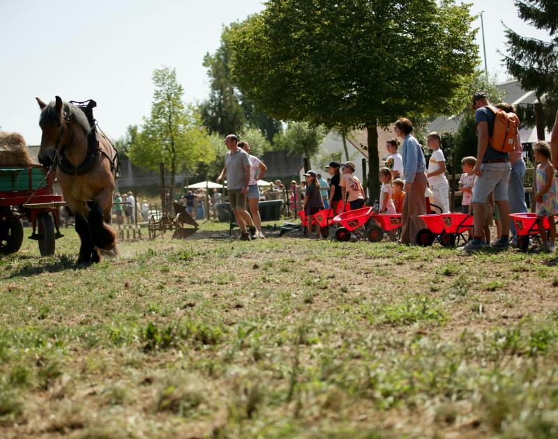 Open stoeterijdag © Ingrid Van Valvekens