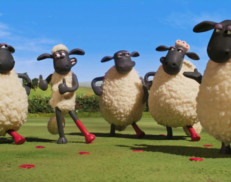 Shaun het schaap: elke dag feest! (3+) - Seamus Malone © J.E.F.