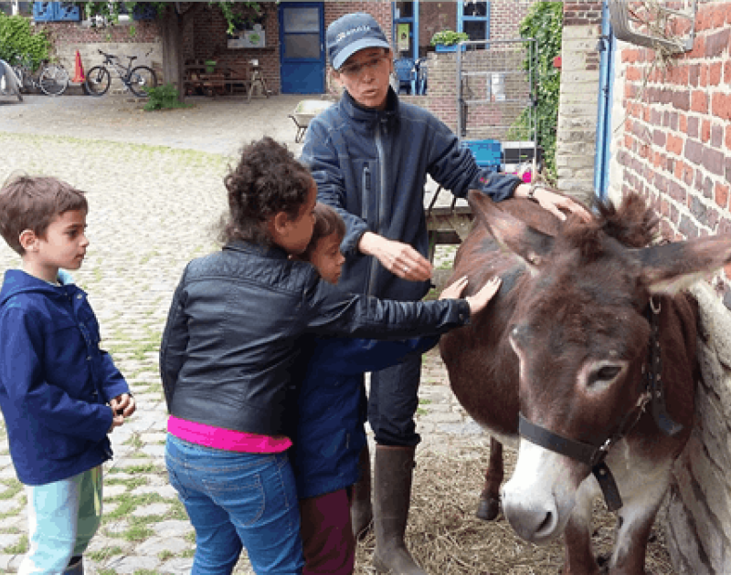 Vk visite I het leven op de boerderij SOLD OUT © Vk visite I het leven op de boerderij
