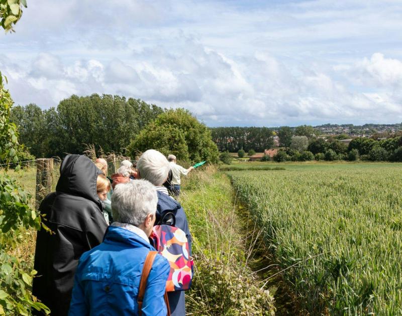 Tussen Stad en Rand - Uit Stappen © onbekend