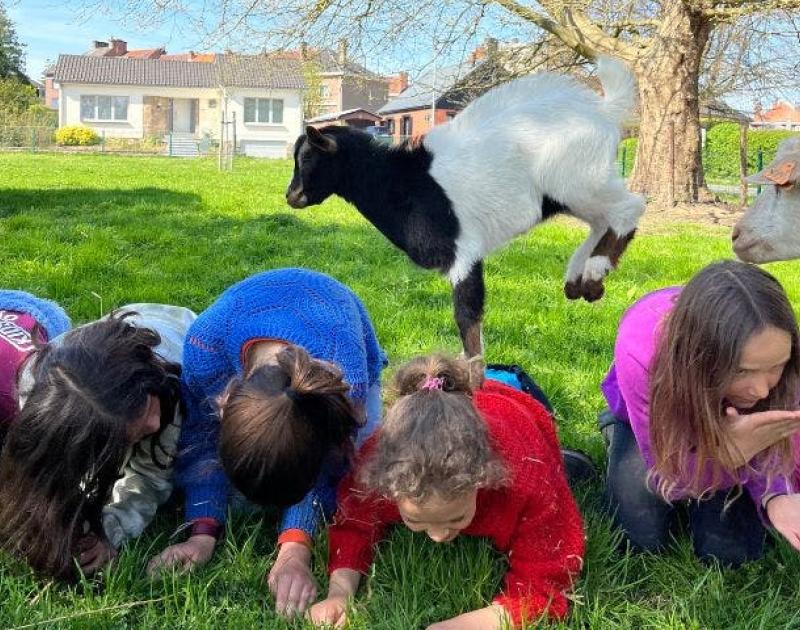 Boerderijkamp op het Neerhof (24-28/08/'26) © Het Neerhof vzw