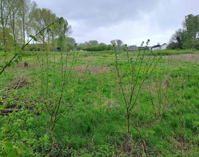 Beheerwerken Ter Planken © jdh