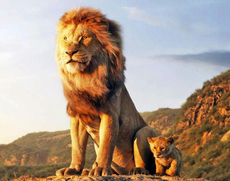 Mufasa: De Leeuwenkoning (6+) © onbekend