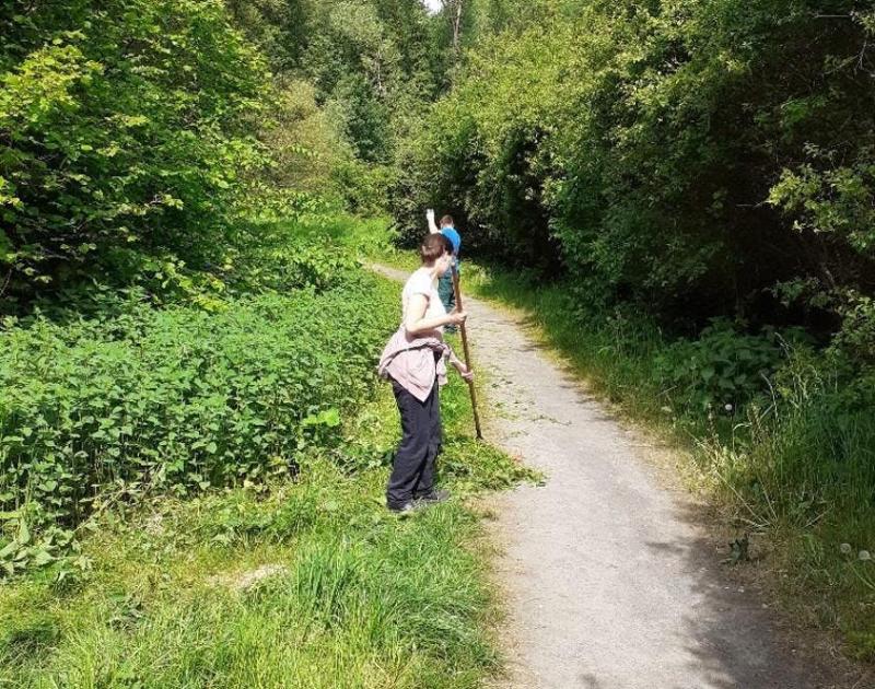 Thaborwandeling ism MS-liga Vlaams-Brabant West © Eric De Jonge