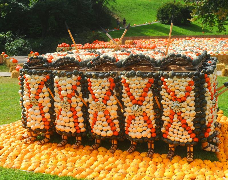 Pumpkimania 2025 © Pumpkimania