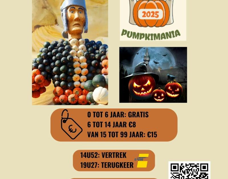 Halloween Buurtuitstap Pumpkimania © buurtwerking negenmanneke-zuun