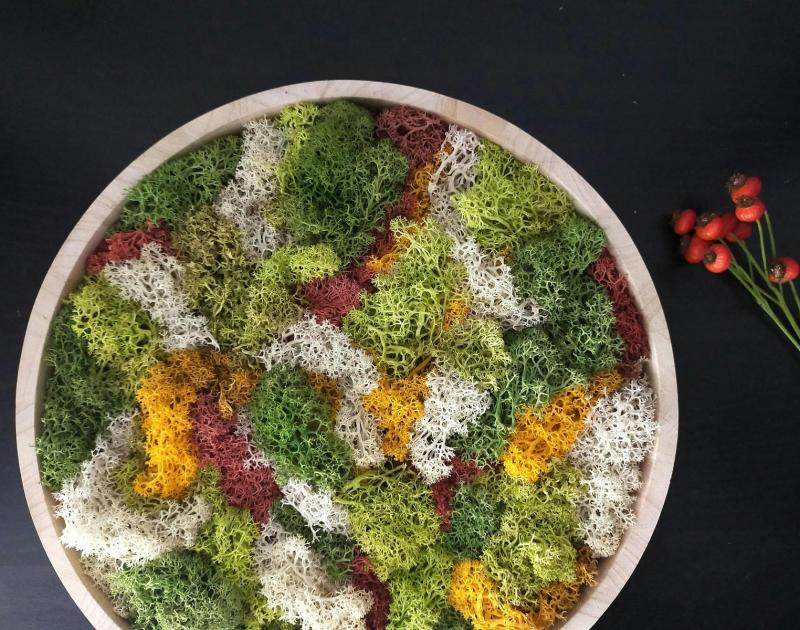 Mosschilderij maken © Ateliet Leut