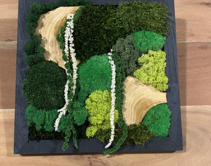 Workshop 'Maak je eigen moswand' © het vilthuis