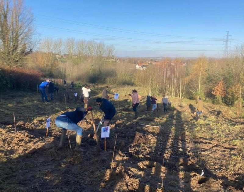 Beheerwerken Spanuitbos © Eric De Jonge