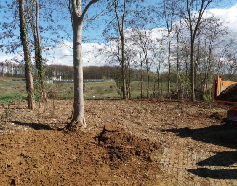 Groenstrook Loveldwijk aangepakt