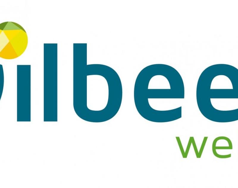 logo Dilbeek welzijn
