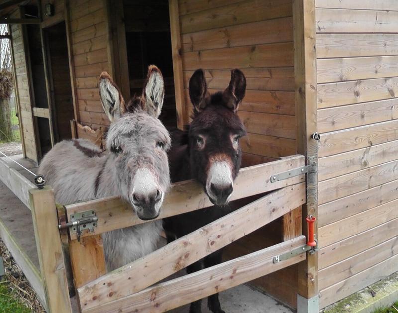 Besuch mit Kindern